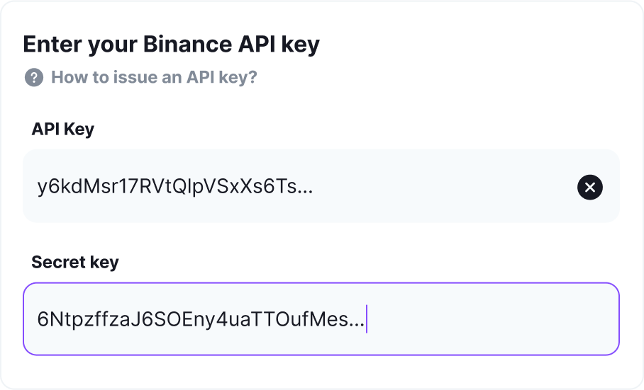 Enter exchange API key directly